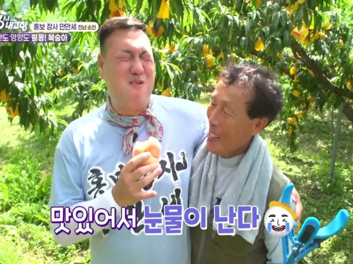 KBS 6시 내고향에 소개된 순천 월등 복숭아 방송 장면